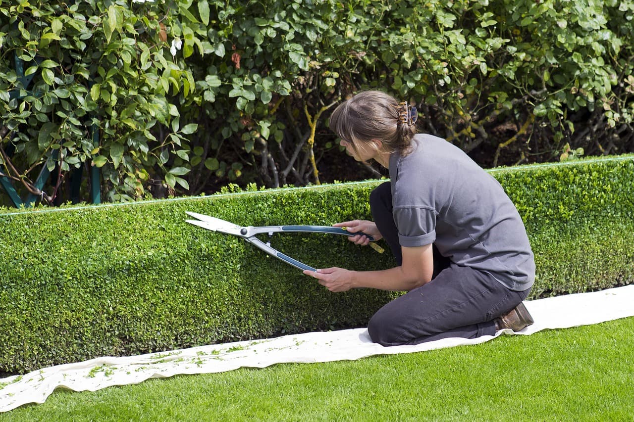 Landscaping & lawn care